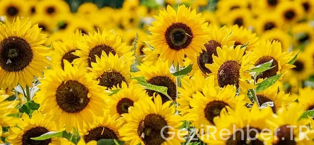 Asya kıtası gezilecek yerler