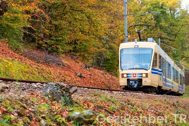Atatürk yurtdışı gezileri