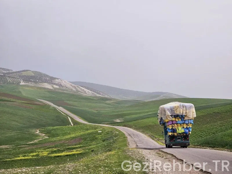 Atatürk yurtdışı gezileri