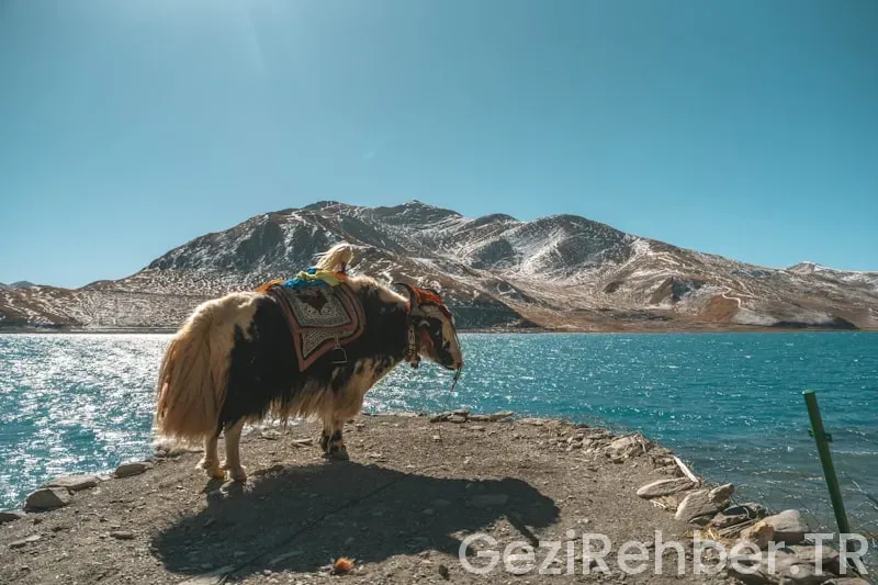 Atatürk yurtdışı gezileri