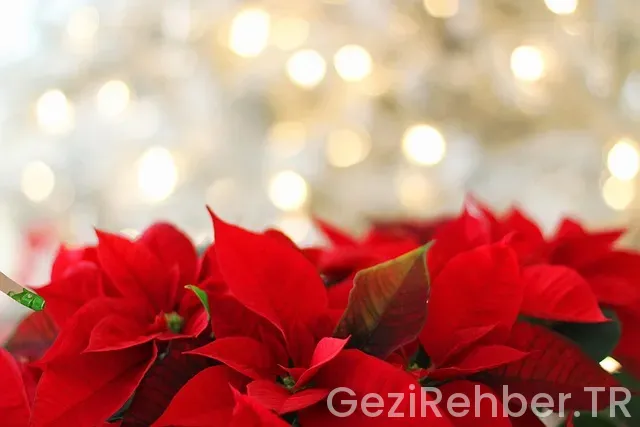 Atatürk'ün cumhurbaşkanlığı dönemindeki yurtdışı gezileri