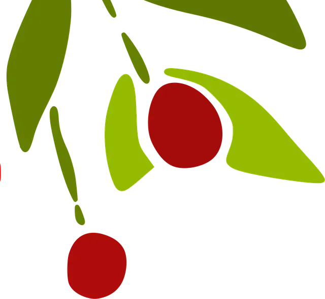 Atatürkün yaptığı yurtdışı gezileri Atatürkün yaptığı yurtdışı gezileri