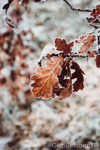 Atina'da nerede kalınır