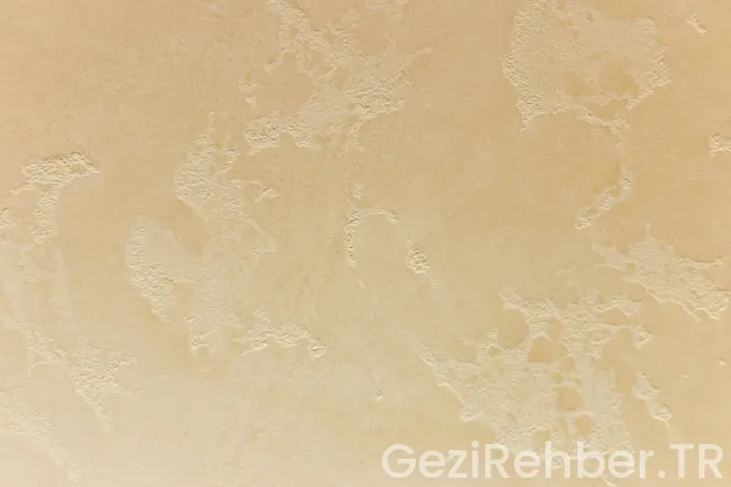 Atlas gezi rehberi karadeniz pdf