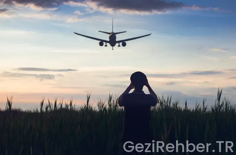 Aviva travel insurance