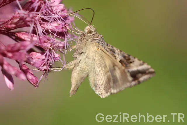 Avrupa kıtası gezilecek yerler Avrupa kıtası gezilecek yerler