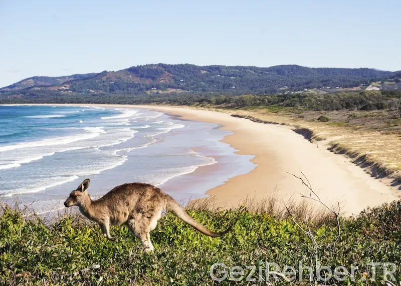Avustralya gezi notları