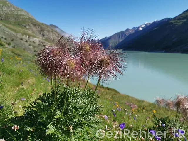 Avustralya uçakla kaç saat türkiye