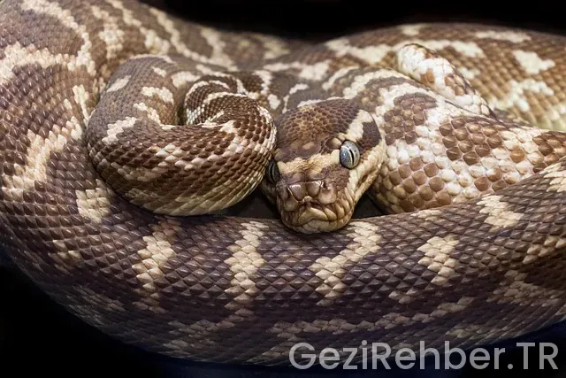 Avustralya Ünlü Gezi Parkları