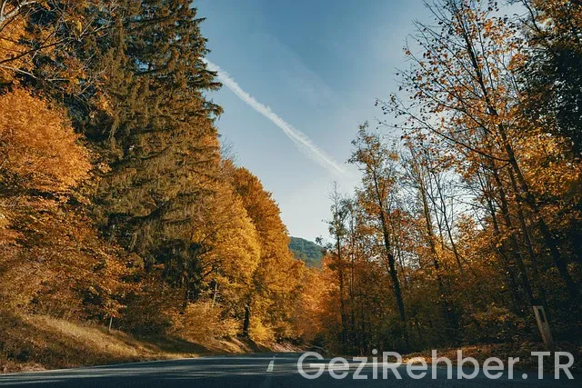 Avusturya Gezi Rehberi Avusturya Gezi Rehberi
