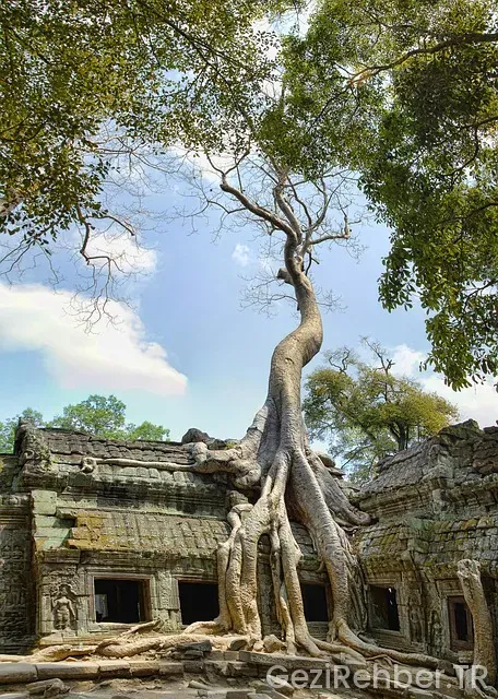 Ayvalık ta nerede kalınır