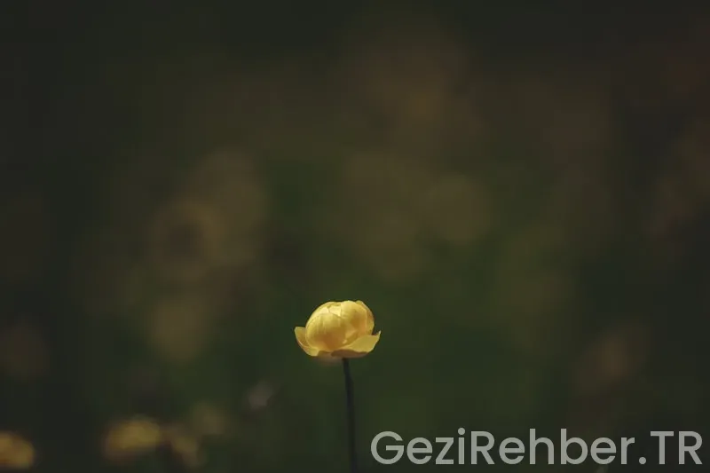 Az Bilinen Ama Muhteşem Tatil Noktaları Az Bilinen Ama Muhteşem Tatil Noktaları