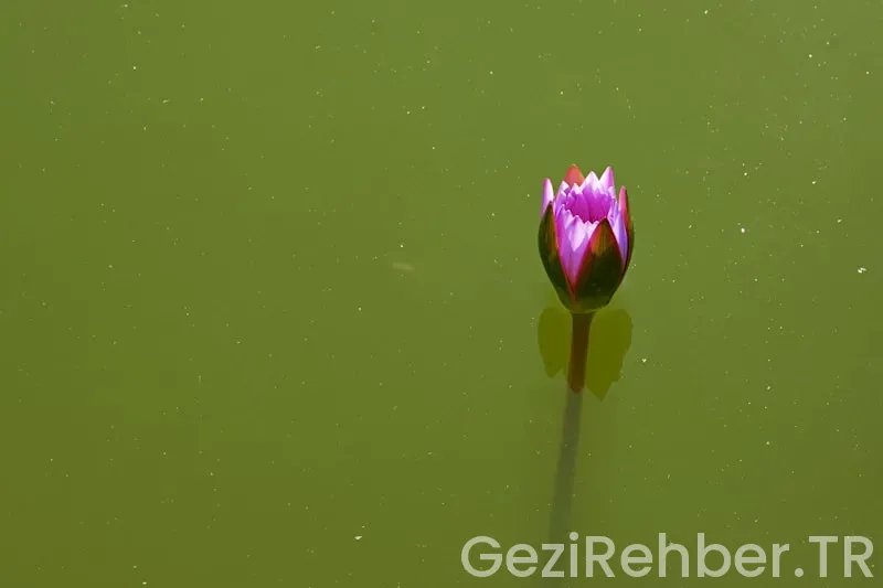 Az Bilinen Ama Muhteşem Tatil Rotaları