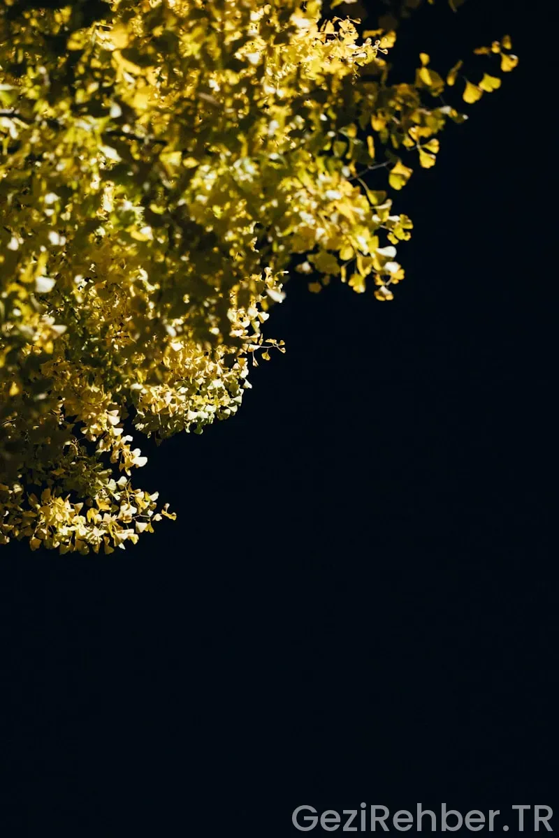 Az Bilinen Ama Muhteşem Tatil Rotaları