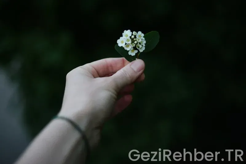 Az Bilinen Ama Muhteşem Tatil Rotaları