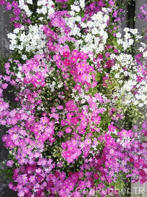 Bakü Gezi Turu Bakü Gezi Turu