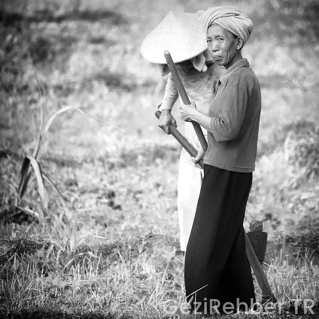 Bali Adası Balayı Turu Bali Adası Balayı Turu