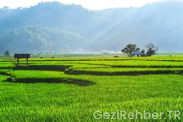 Bali Adası Komodo Adası Turu