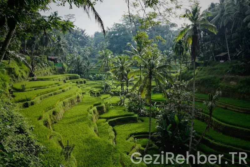 Bali ile türkiye saat farkı