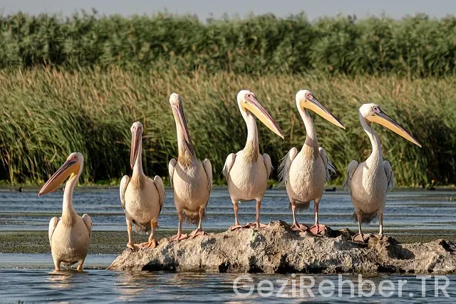 Balkan Gezi Turları
