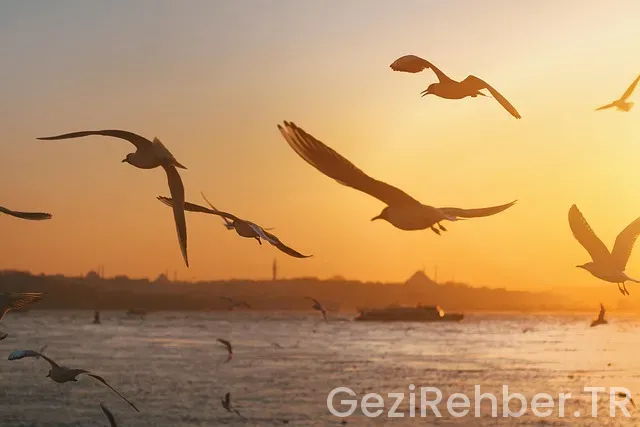 Barcelona istanbul uçakla kaç saat