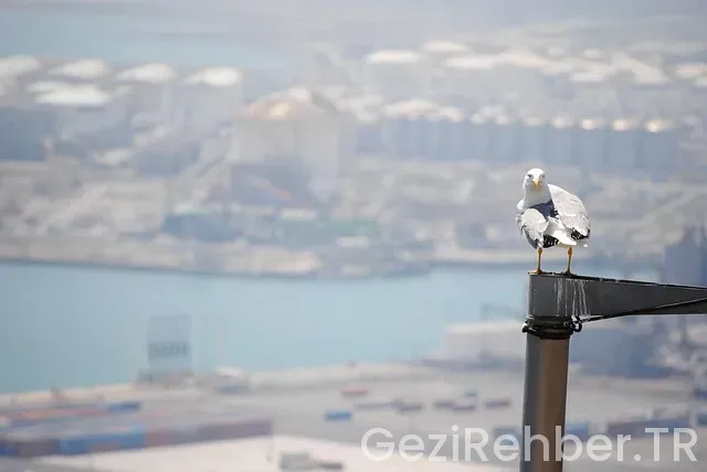 Barcelona uçakla kaç saat