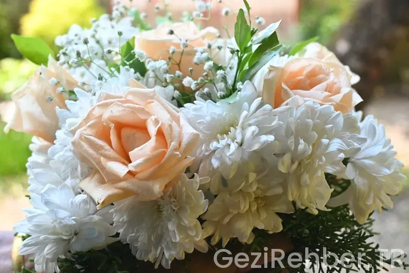 Bati karadeni z de gezi lecek yerler