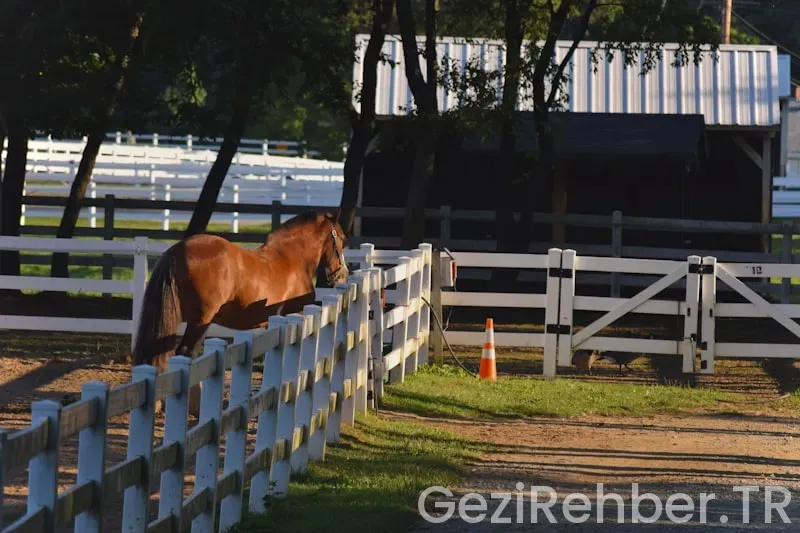 Bati karadeni z de gezi lecek yerler