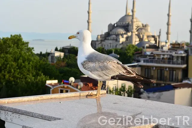 Batman istanbul uçakla kaç saat