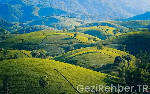 Batum'da nerede kalınır