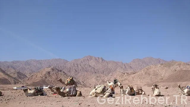 Bayramda yurtdışı gezileri