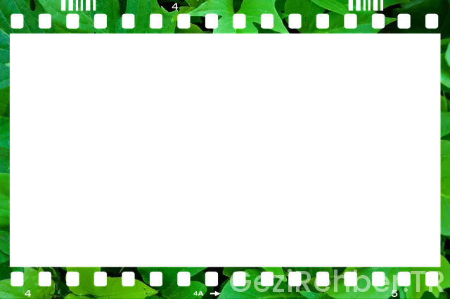 Bedava yurtdışı gezileri