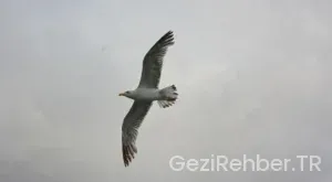 Belçika Türkiye Saat Farkı