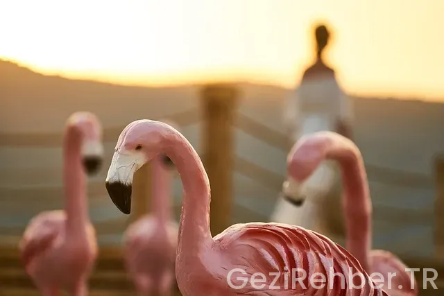 Belgrad Gezi Önerileri