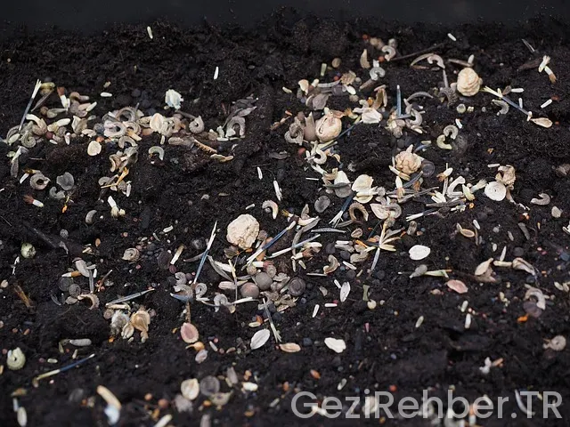 Belgrad uçakla kaç saat