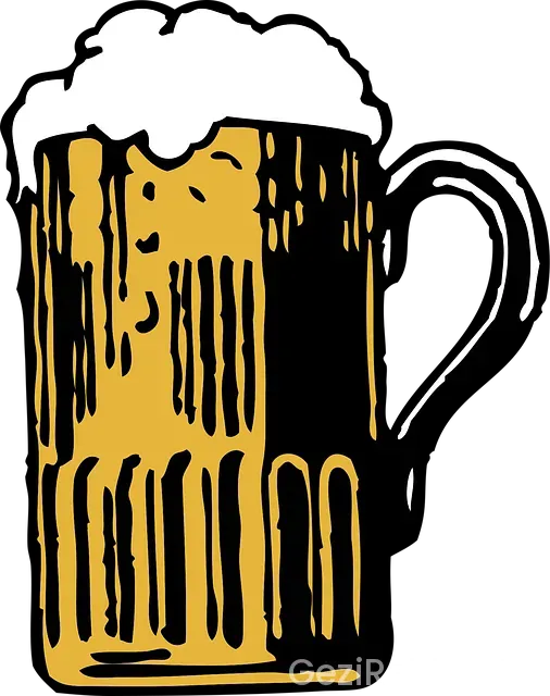 Bir seyyahın yol hikayeleri