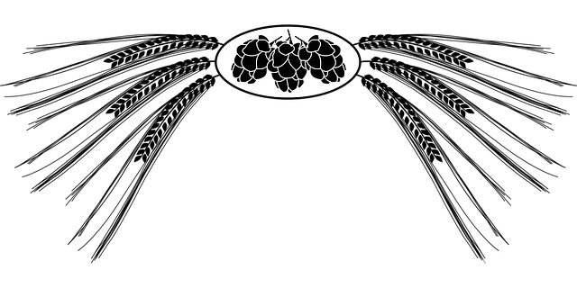 Bir seyyahın yol hikayeleri