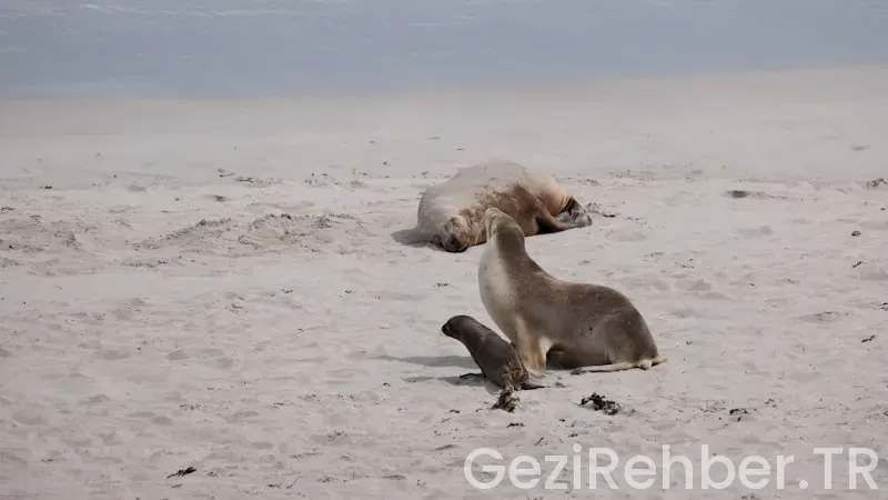 Bisiklet ile karadeniz sahil gezi Bisiklet ile karadeniz sahil gezi