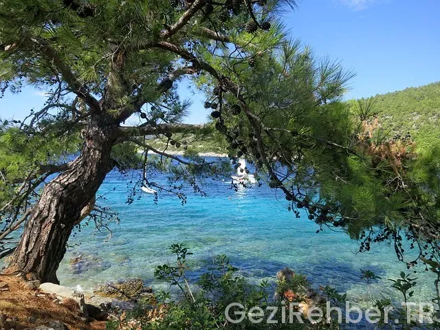 Bodrum uçakla kaç saat