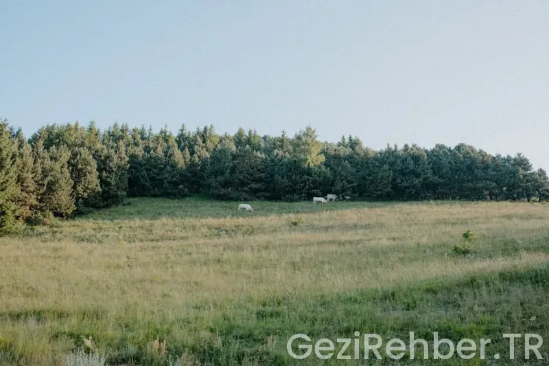 Bodrum’da Gezilecek Yerler