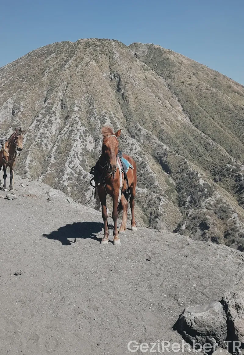 Bolu’da Gezilecek Yerler