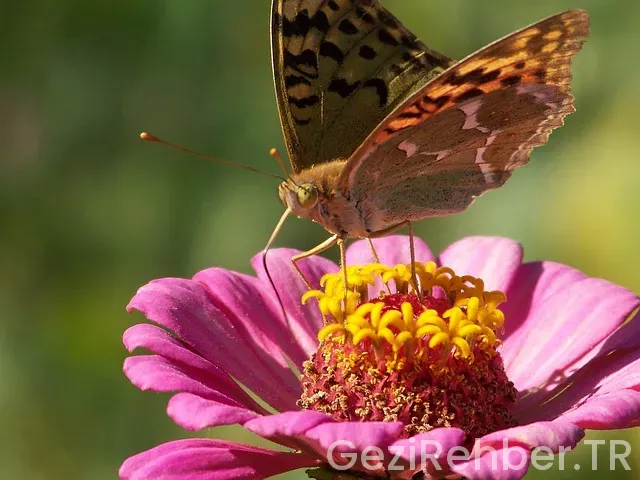 Bosna hersek gezi haritası