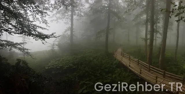 Bosna hersek gezi rehberi biz evde yokuz