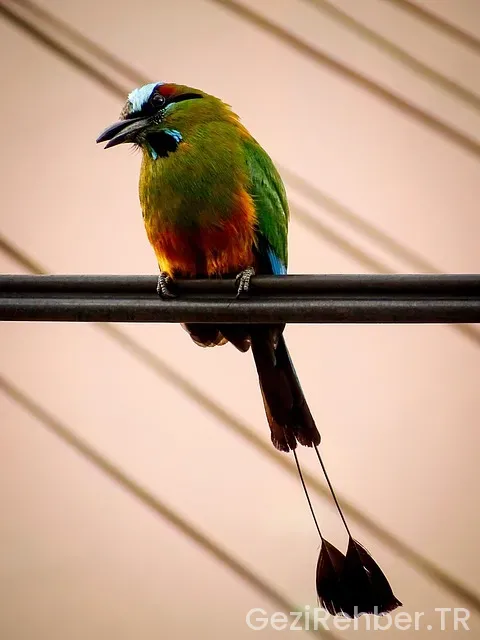 Bosna-hersek gezilecek yerler