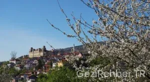 Bosna hersek mahallesi konya