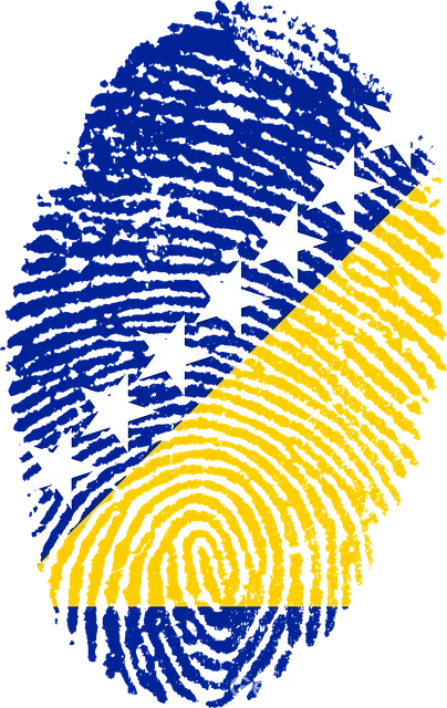 Bosna hersek rehberi