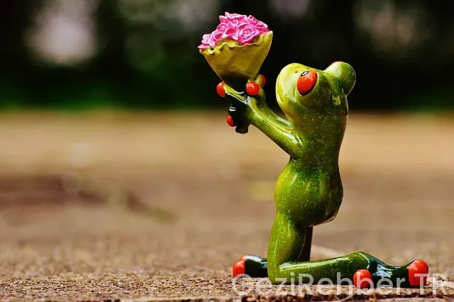 Bosna i hercegovina 2025