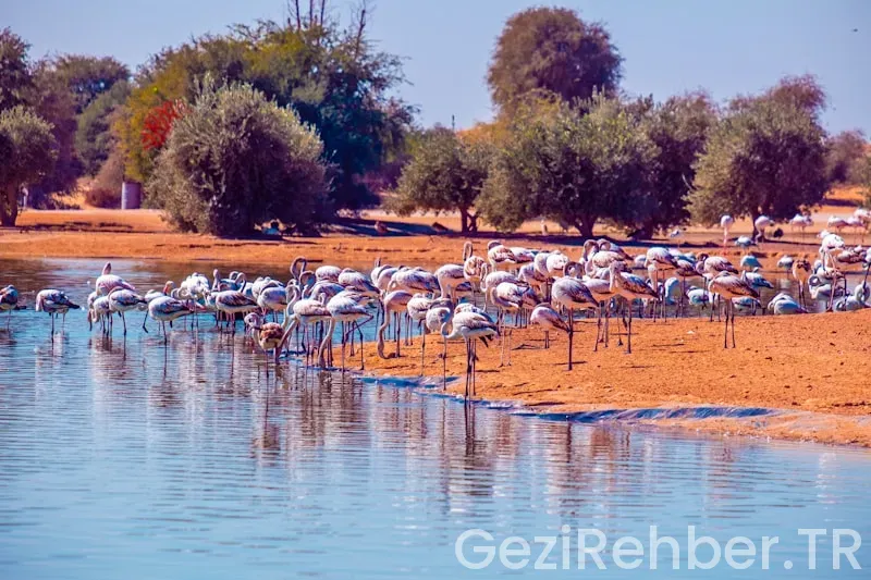 Botswana travel guide