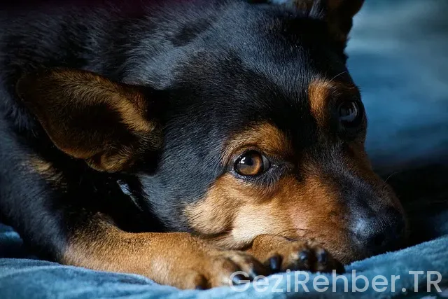 Bursa Günübirlik Gezi​