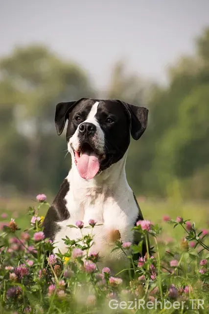 Bursa Günübirlik Gezi​